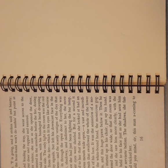 Secret Journal "The Invisible Man" - Picture 3 of 6